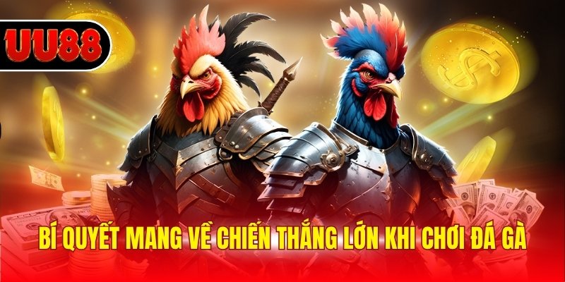 Bí quyết mang về chiến thắng lớn khi chơi đá gà