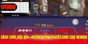 Cách Chơi Xóc Đĩa - Hướng Dẫn Chi Tiết Chơi Cho Newbie