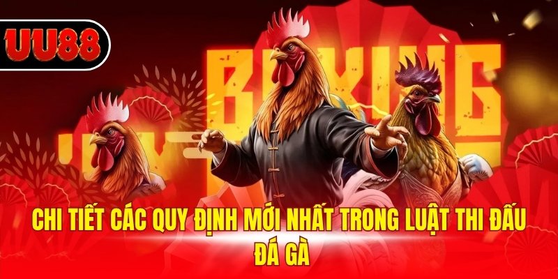 Chi tiết các quy định mới nhất trong luật thi đấu đá gà