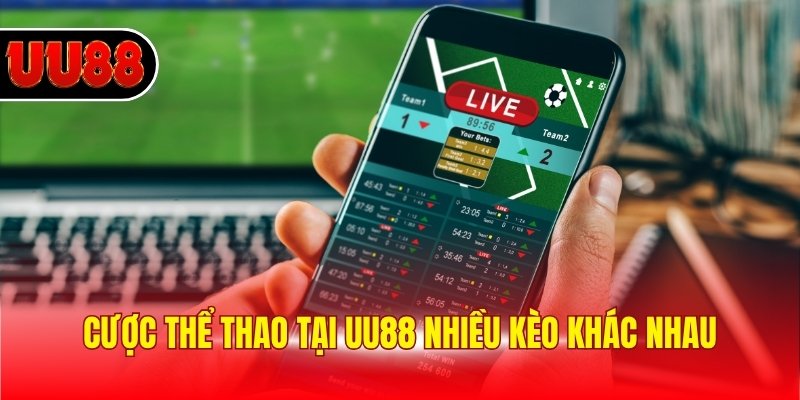 Cược thể thao tại UU88 nhiều kèo khác nhau
