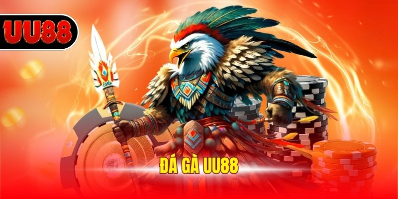 Đá Gà UU88 - Đấu Trường Chọi Kê Đỉnh Cao Tại Việt Nam