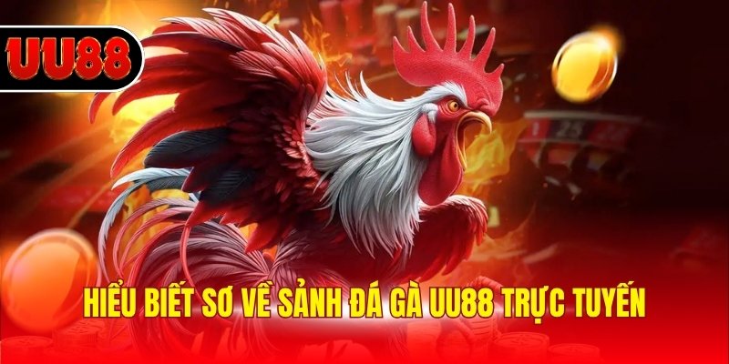 Hiểu biết sơ về sảnh đá gà UU88 trực tuyến