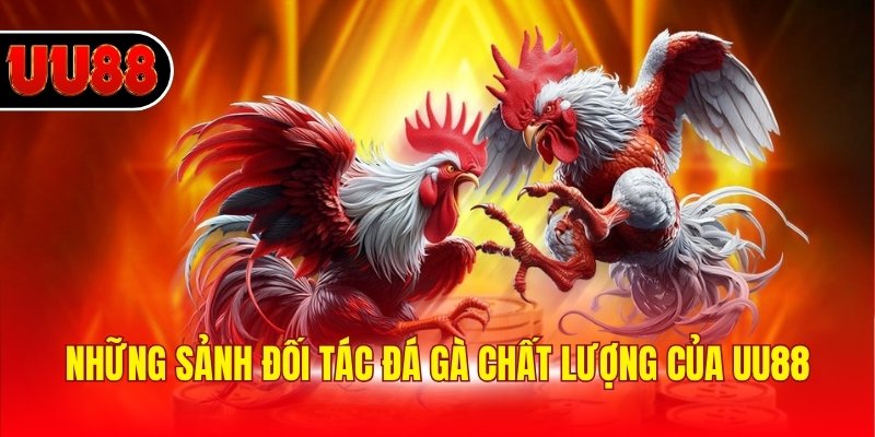 Những sảnh đối tác đá gà chất lượng của UU88